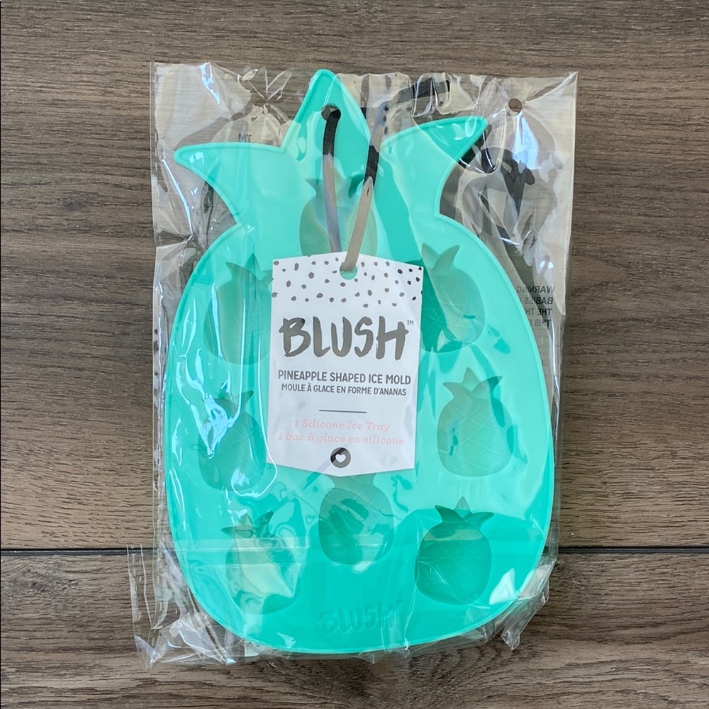 Blush Pineapple Ice Mold in Teal
